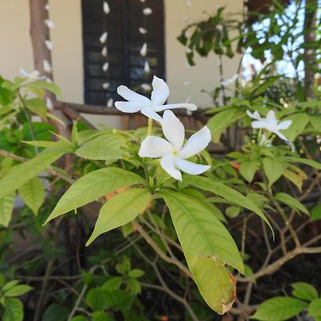 Stonefish Inn Jambiani จัมเบียนี ภายนอก รูปภาพ
